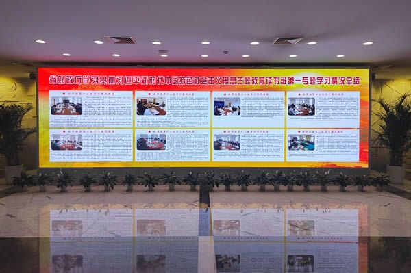 國內(nèi)有哪些COB顯示屏廠家做得比較好的？